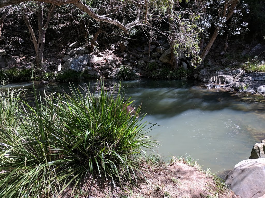 Cedar Creek Falls | park | Cedar Creek Falls Rd, Tamborine Mountain QLD 4272, Australia