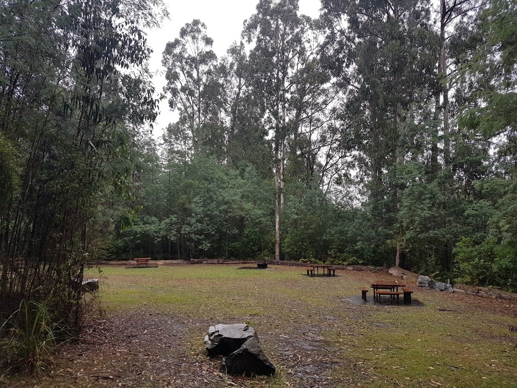 Lawsons Falls Picnic Ground. | Forest Rd, Gentle Annie VIC 3833, Australia | Phone: 13 19 63