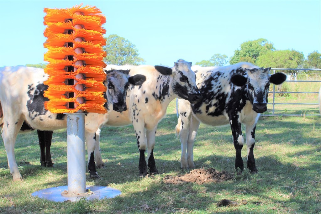 Bows Barn | Unit 6/9 Thiedeke Rd, Beaudesert QLD 4285, Australia | Phone: 1300 284 602