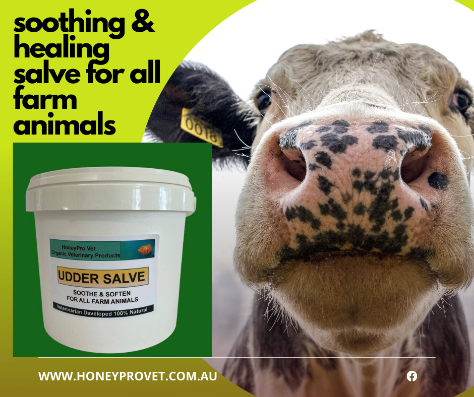 HoneyPro Vet Organic Veterinary Products | 2715 S Western Hwy, Serpentine WA 6125, Australia | Phone: 0407 774 595