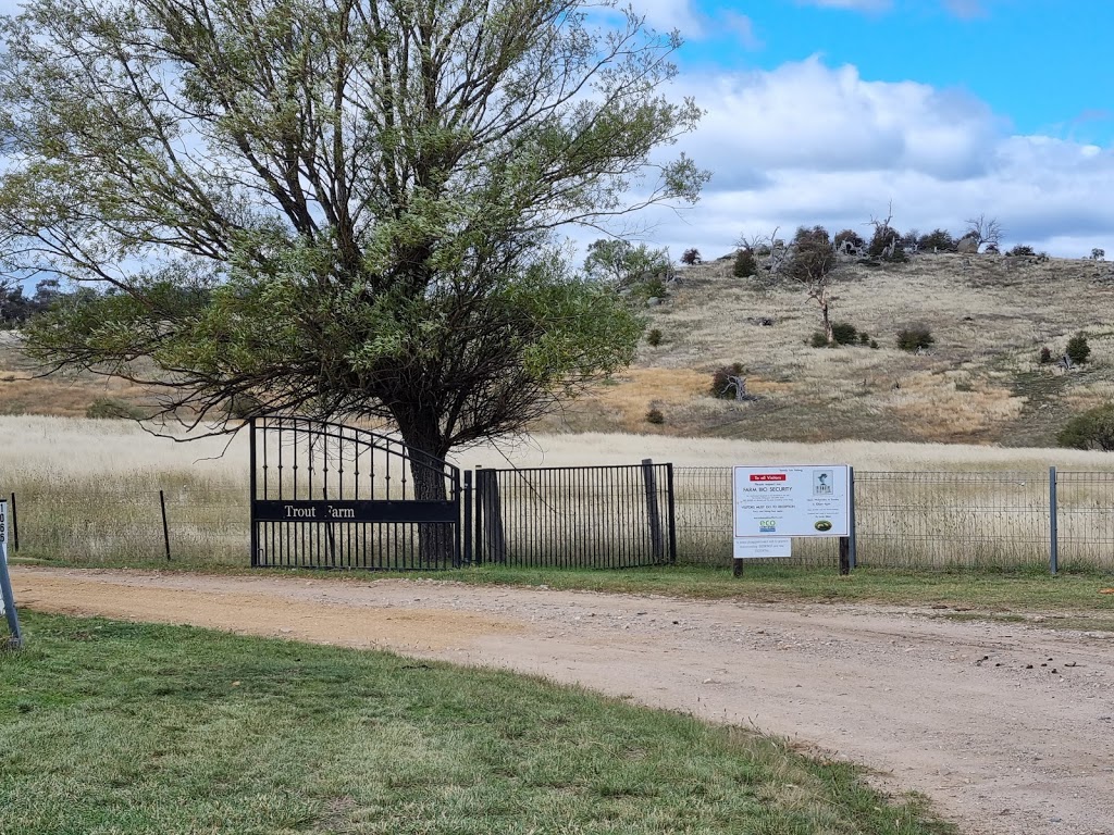 Eucumbene Trout Farm | 1066 Stoney Creek Rd, Rocky Plain NSW 2628, Australia | Phone: (02) 6456 8866