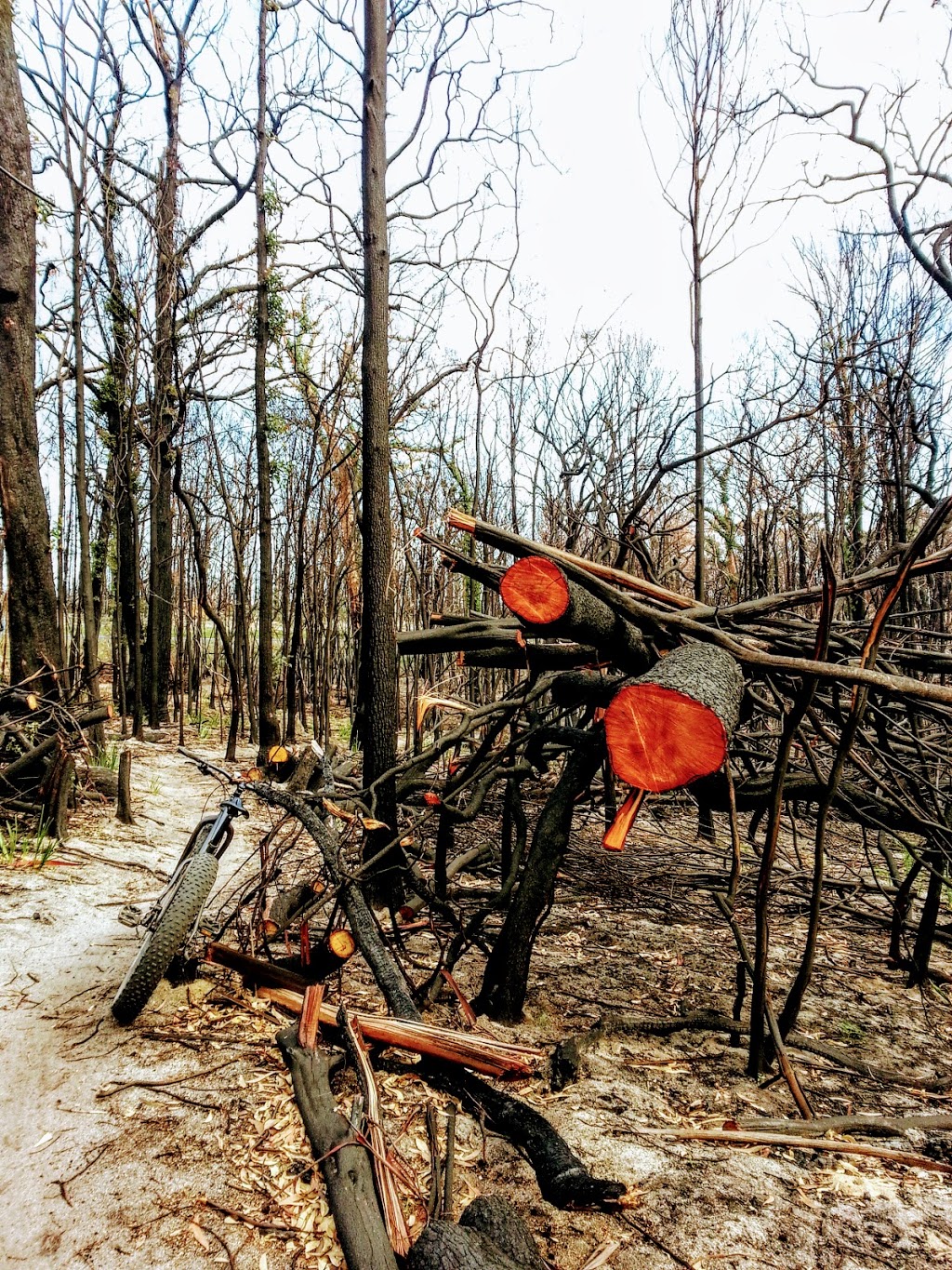 Mountain Bike Trailhead (Bundadung) | Tathra Rd, Tathra NSW 2550, Australia