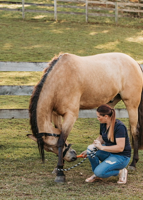 Equalize Equine Therapy | Wilson Ave, Woombye QLD 4559, Australia | Phone: 0407 156 174