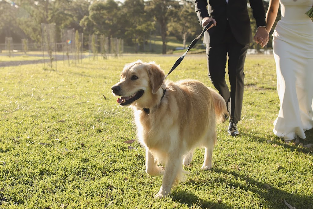 Love with Paws Weddings | 12B Como Ave, Burrill Lake NSW 2539, Australia | Phone: 0414 078 442