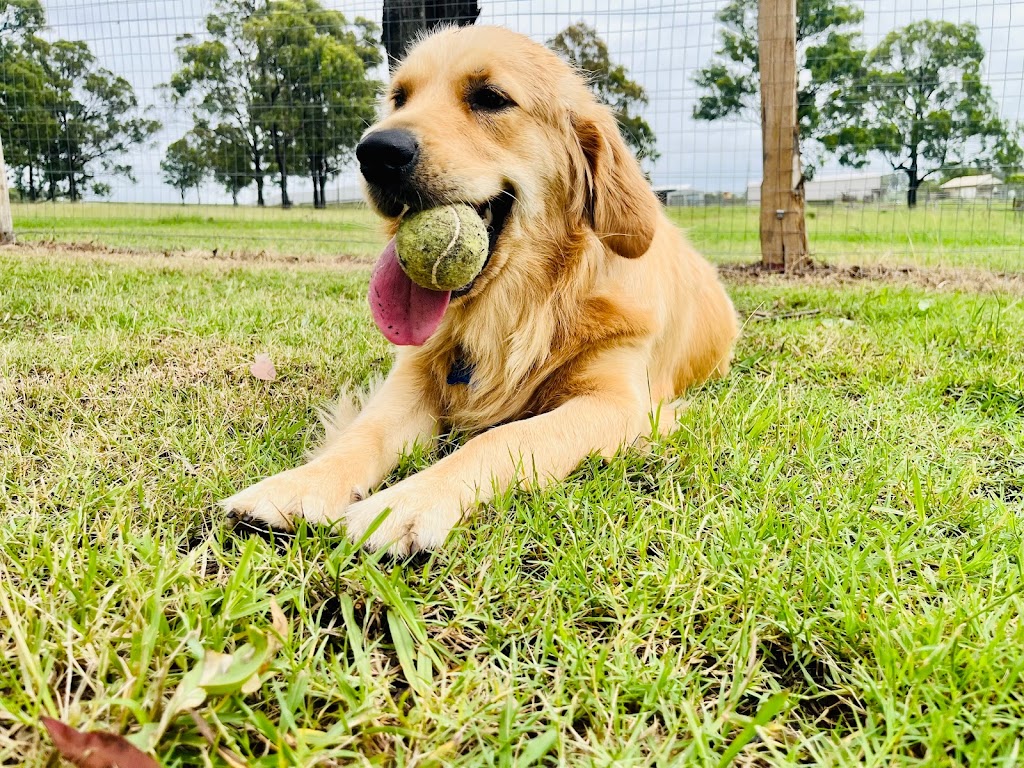 Pamper Paws by Krystal | 467 Mount View Rd, Mount View NSW 2325, Australia | Phone: 0431 227 078