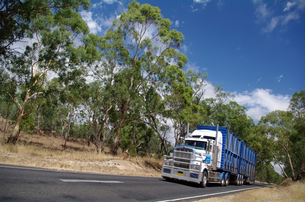 Whiteleys Livestock Transport | moving company | 484 Cudgewa N Rd, Cudgewa VIC 3705, Australia | 0260774303 OR +61 2 6077 4303