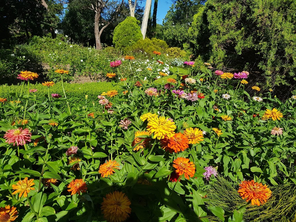 Area B1 - Duck Pond Area | Kareena Rd Lower Car Park, Caringbah South NSW 2229, Australia