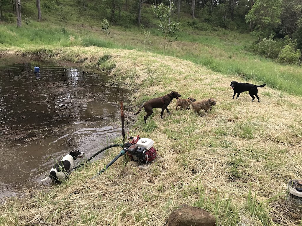 Gumtree petstayz & daycare Ettrick |  | Iron Pot Creek Rd, Ettrick NSW 2474, Australia | 0407449889 OR +61 407 449 889