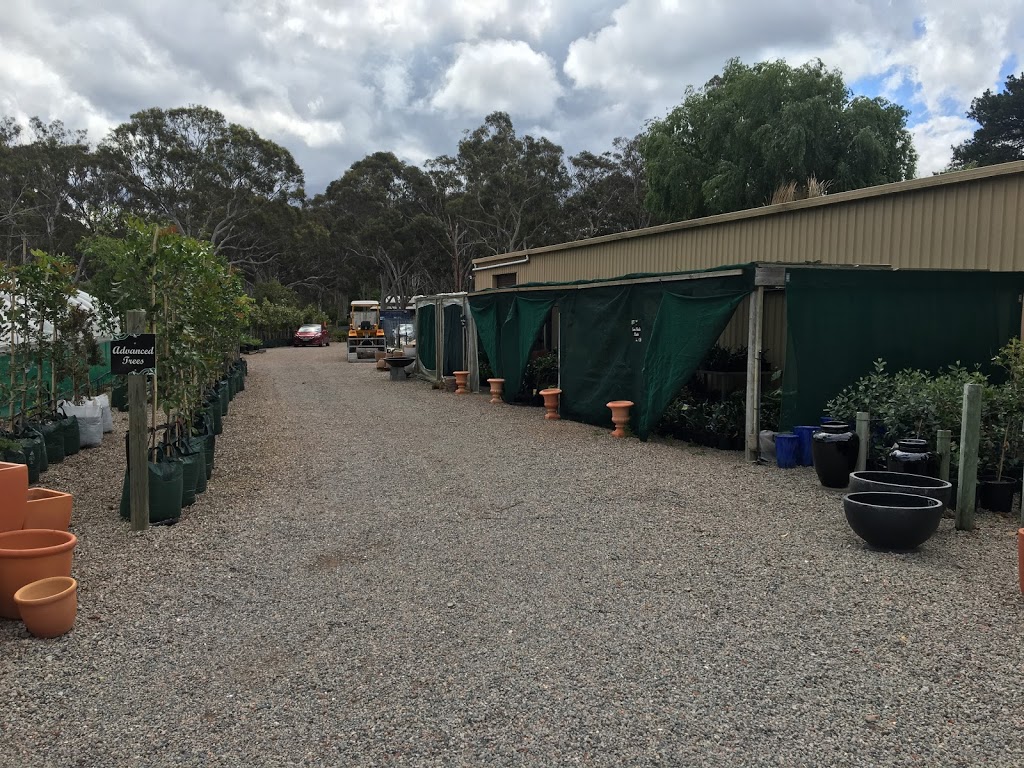 Thirlmere Nursery | Thirlmere NSW 2572, Australia | Phone: 0406 634 316