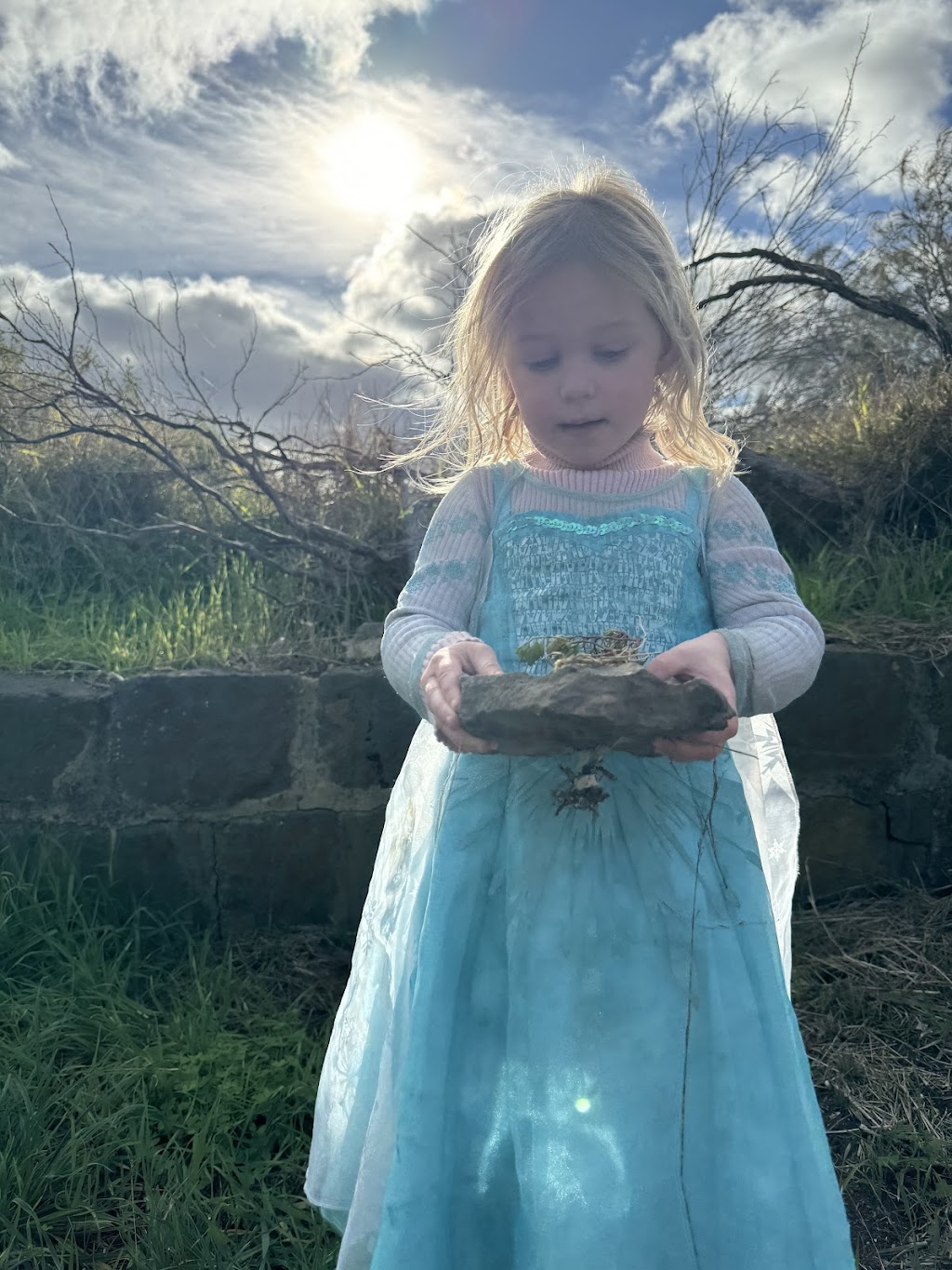 Bakken Thyme Kids | Merrawarp Rd, Ceres VIC 3221, Australia | Phone: 0447 799 280