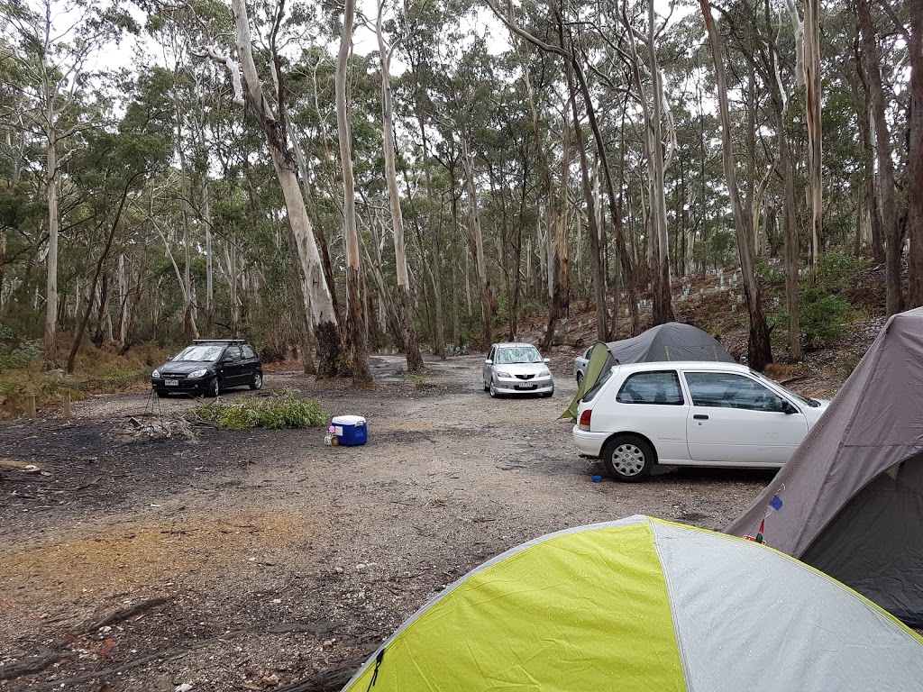 Slaty Creek Campground 2 | campground | Slaty Creek Rd, Cabbage Tree VIC 3889, Australia