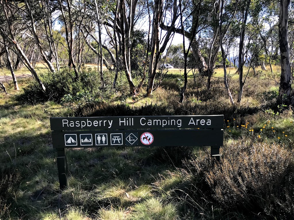 Raspberry Hill Campsite & Toilet | Bogong High Plains Rd, Bundara VIC 3898, Australia | Phone: 13 19 63