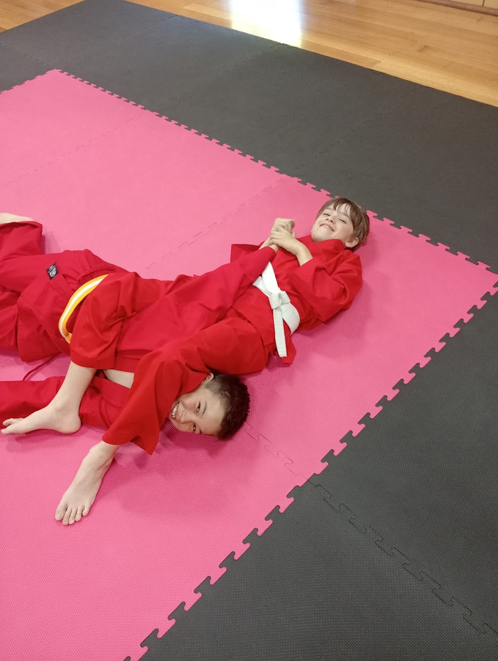 Ikigai Martial Arts Academy | 101/99 Appin St, Wangaratta VIC 3677, Australia | Phone: 0473 477 567