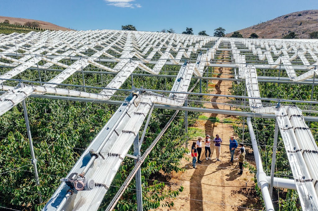 Oi Studios | Unit 2/4 Yamada Pl, Mornington TAS 7018, Australia | Phone: 0408 659 998