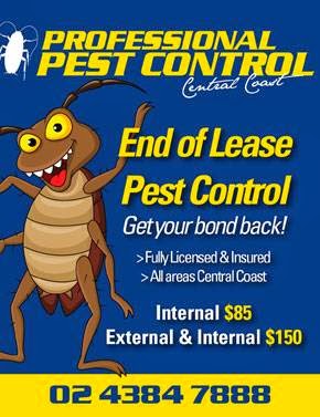 Professional Pest Control Central Coast | laundry | 20 Albatross Cl, Forresters Beach NSW 2260, Australia | 0243847888 OR +61 2 4384 7888