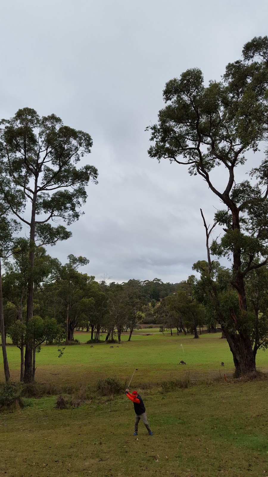 Cardinia Beaconhills Golf Links | store | 85-87 Stoney Creek Rd, Beaconsfield Upper VIC 3808, Australia | 0359459230 OR +61 3 5945 9230