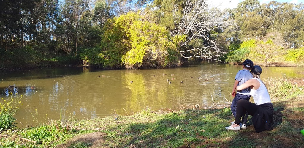 Webbs Avenue Playing Fields | park | Auburn NSW 2144, Australia