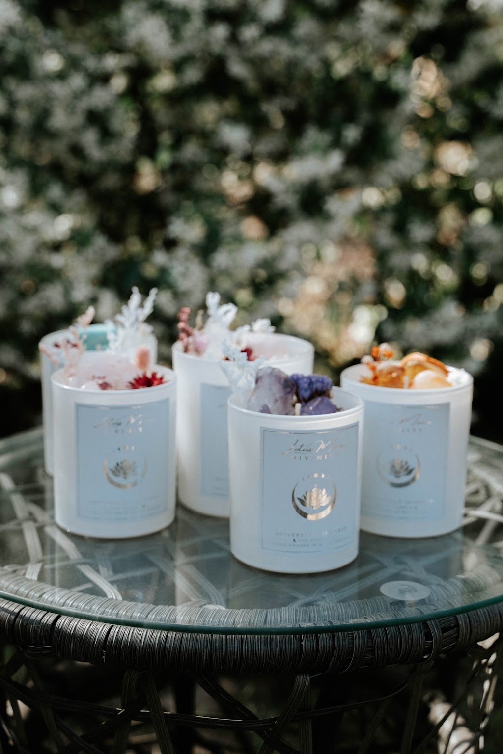 Lotus Moon Divinity | 12 Greys Rd, Woolgoolga NSW 2456, Australia | Phone: 0416 253 519