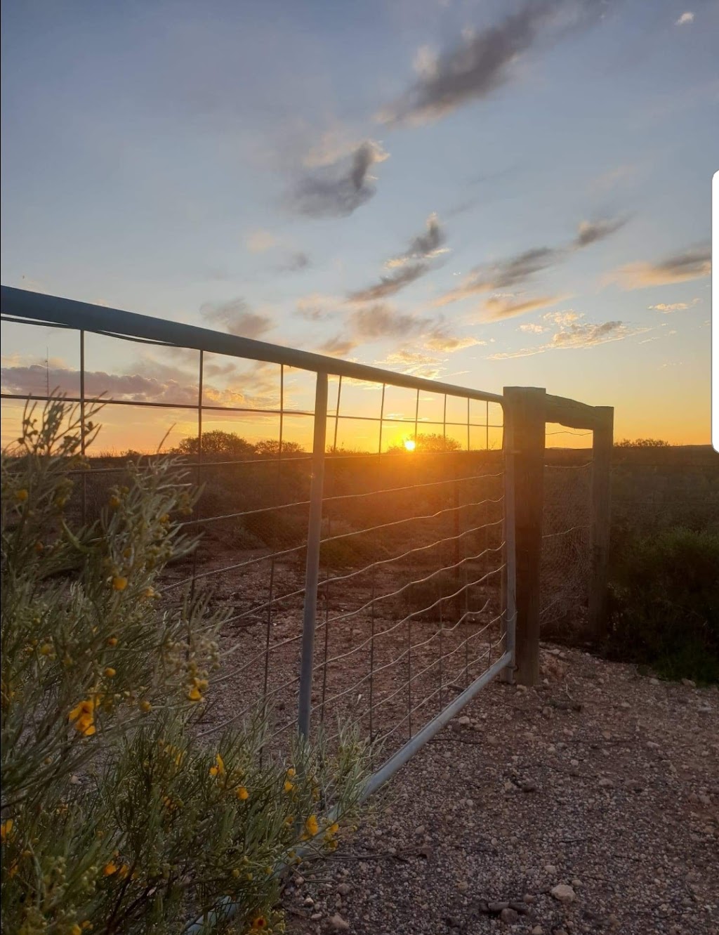 The Jump On Tour guide | 377 Chloride St, Broken Hill NSW 2880, Australia | Phone: 0421 325 825