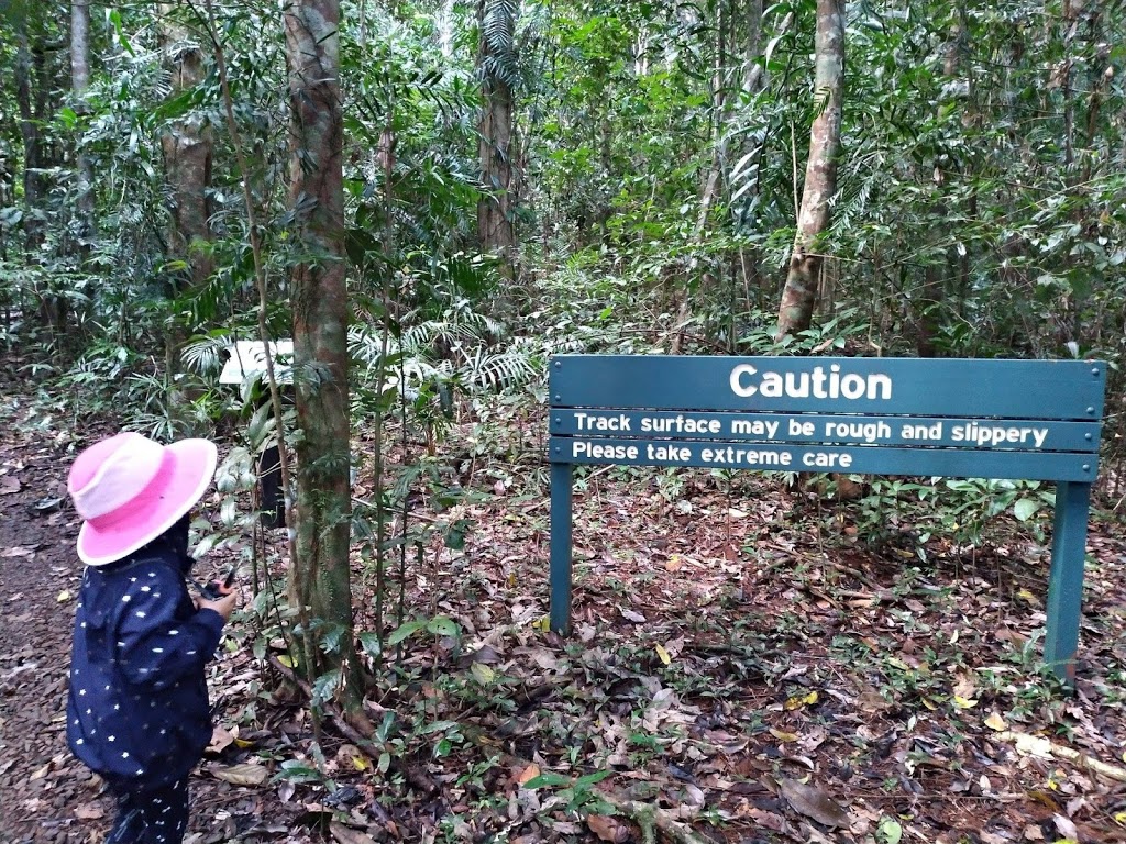 Wallicher Falls | tourist attraction | Palmerston Hwy, Wooroonooran QLD 4860, Australia | 137468 OR +61 137468