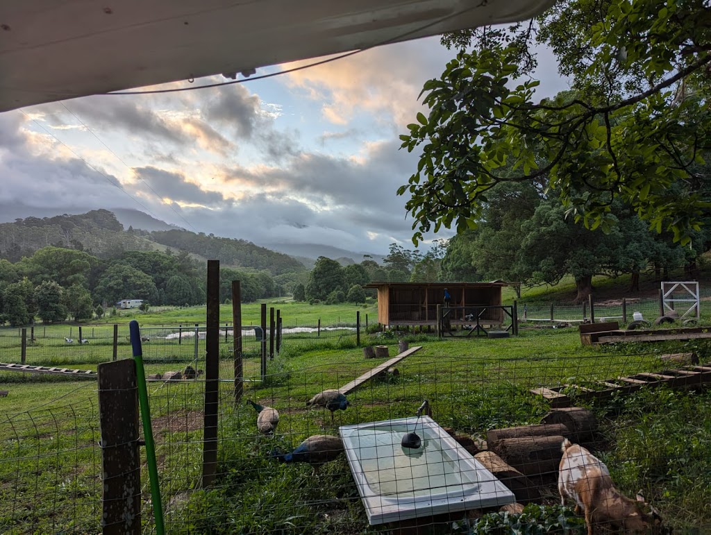 Zendara | 804 Main Arm Rd, Main Arm NSW 2482, Australia | Phone: 0415 998 956