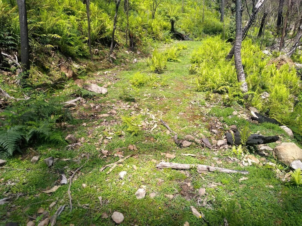 Pine Mountain Walking Trail | park | Pine Mountain Track, Pine Mountain VIC 3709, Australia