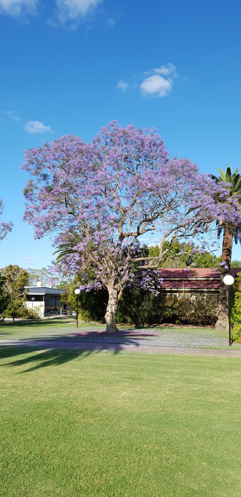 UQ Gatton J.K. Murray Library | library | Building 8102, The University of Queensland, Gatton QLD 4343, Australia | 075460142450424 OR +61 7 5460 1424 ext. 50424