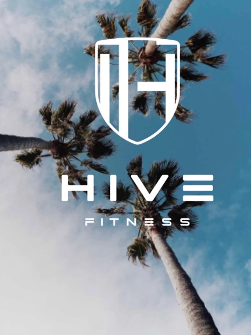 The Hive Fitness | health | 3 Smith St, Scone NSW 2337, Australia | 0497478825 OR +61 497 478 825