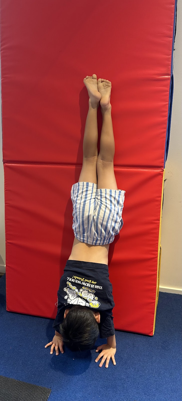 Mindful Movers Gym | 2 Burns Rd, Ourimbah NSW 2258, Australia | Phone: 0485 864 543
