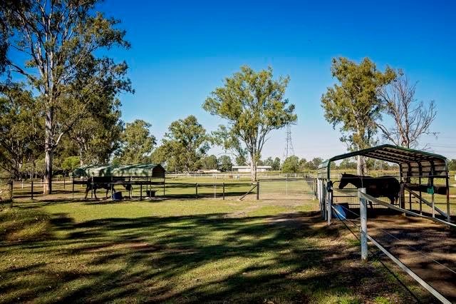 Horsing Around Equine Therapy |  | 2B Pharlap Parade, Karalee QLD 4306, Australia | 0418882269 OR +61 418 882 269