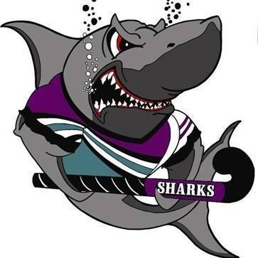 Taree Sharks Hockey Club | Bligh St, Taree NSW 2430, Australia | Phone: 0428 553 311