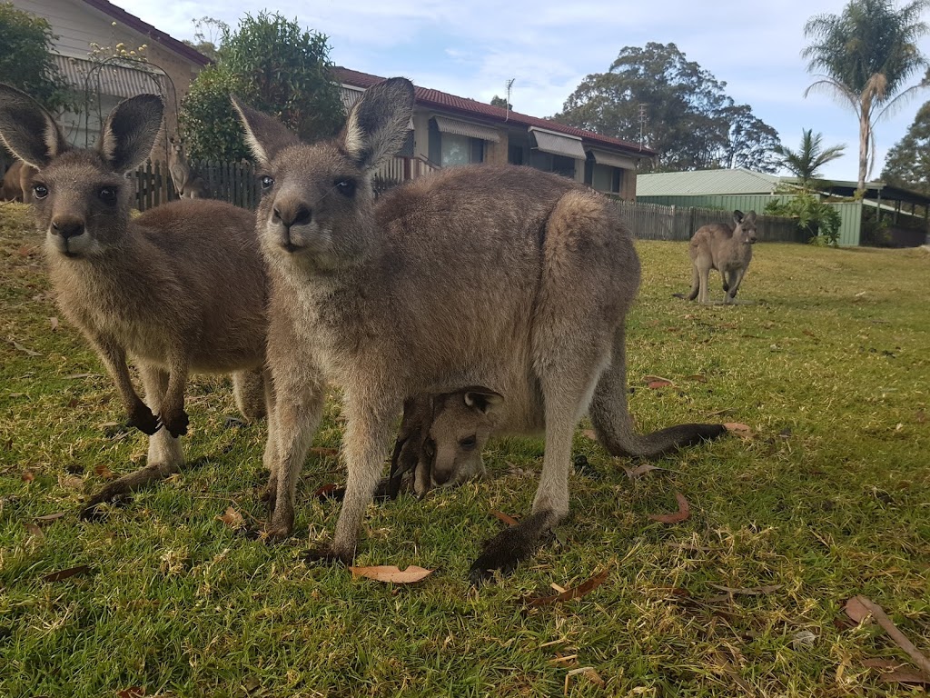 Golf View Motel - Motels, Affordable Hotels, Accommodation Sanct | lodging | 49 Paradise Beach Rd, Sanctuary Point NSW 2540, Australia | 0244439502 OR +61 2 4443 9502