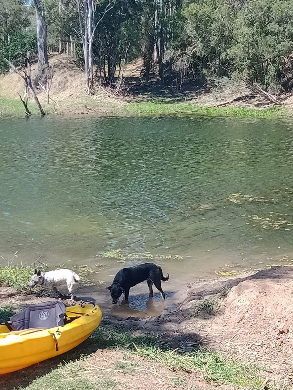 Paradise Lost on the Burnett | campground | Millers Rd, Duingal QLD 4671, Australia | 0429661683 OR +61 429 661 683