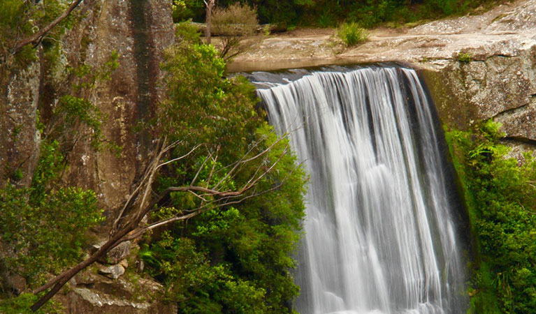 Belmore Falls walking track | park | Hindmarsh Lookout Track, Barrengarry NSW 2577, Australia | 0248877270 OR +61 2 4887 7270