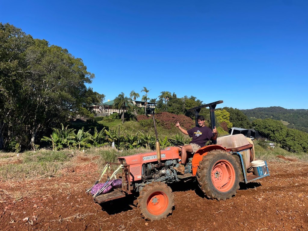 Dunnara Farm | 240 Duranbah Rd, Duranbah NSW 2487, Australia | Phone: 0408 178 729
