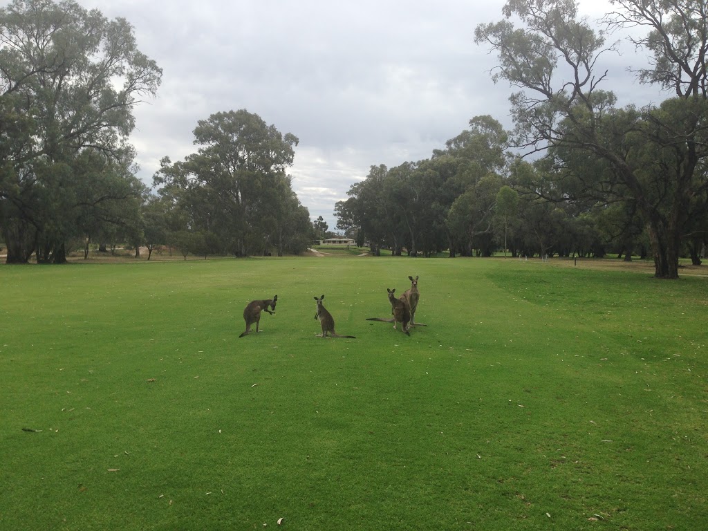 Riverside Golf Club | Park Ln, Nichols Point VIC 3501, Australia | Phone: (03) 5023 4255