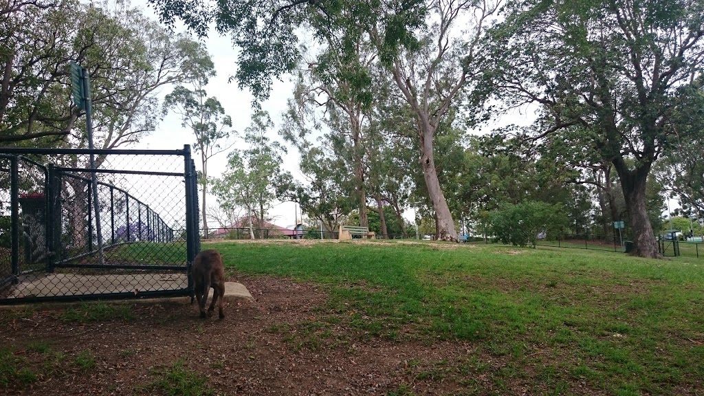 Dutton Park Dog Park | park | Dutton Park QLD 4102, Australia