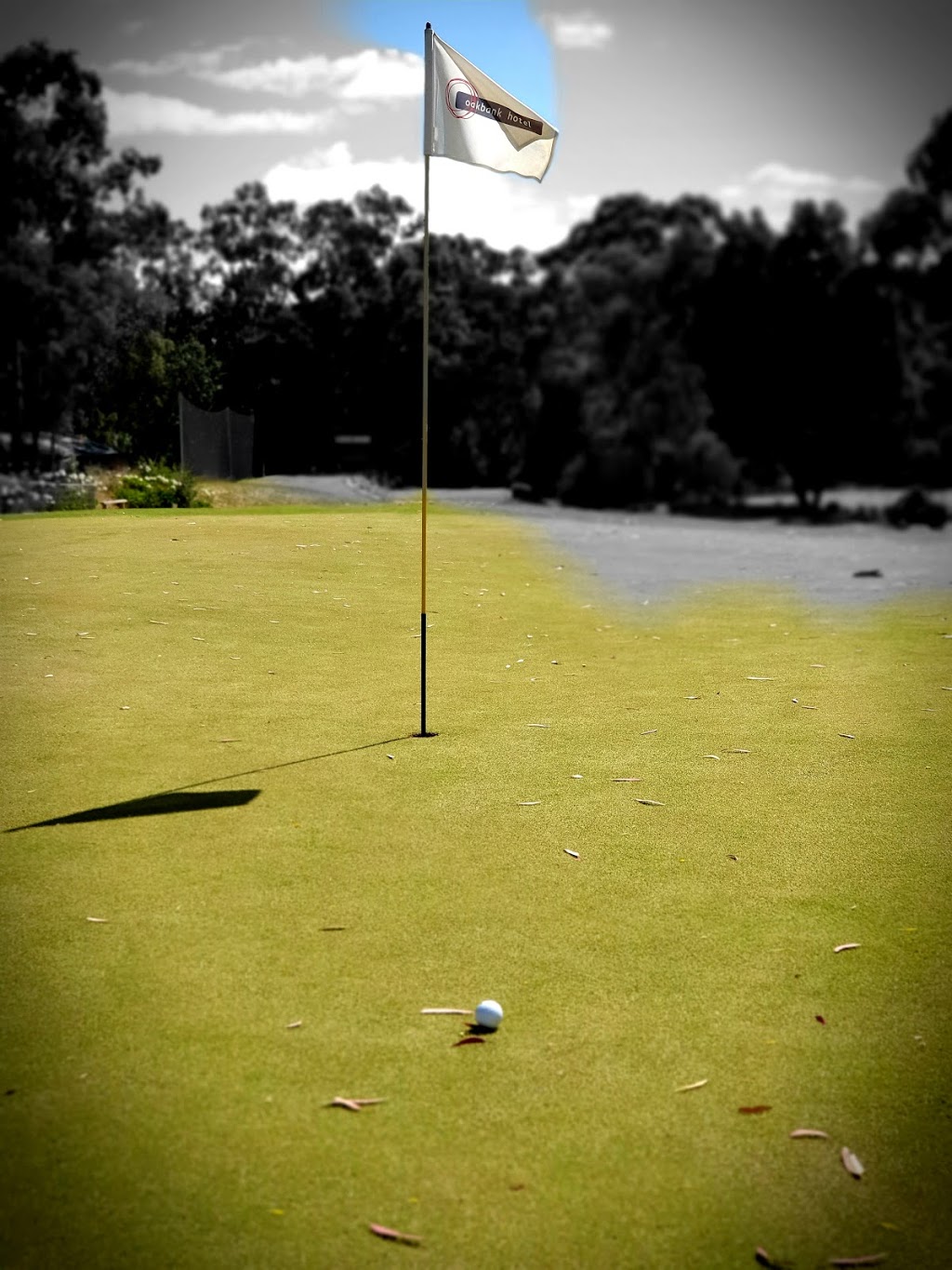 Oakbank Golf Club |  | Smith St, Oakbank SA 5243, Australia | 0883884510 OR +61 8 8388 4510