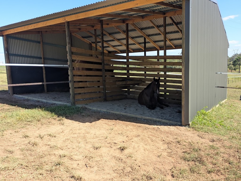 Mountain View Equestrian Centre | 475 Raaen Rd, Bracalba QLD 4512, Australia | Phone: 0468 585 529