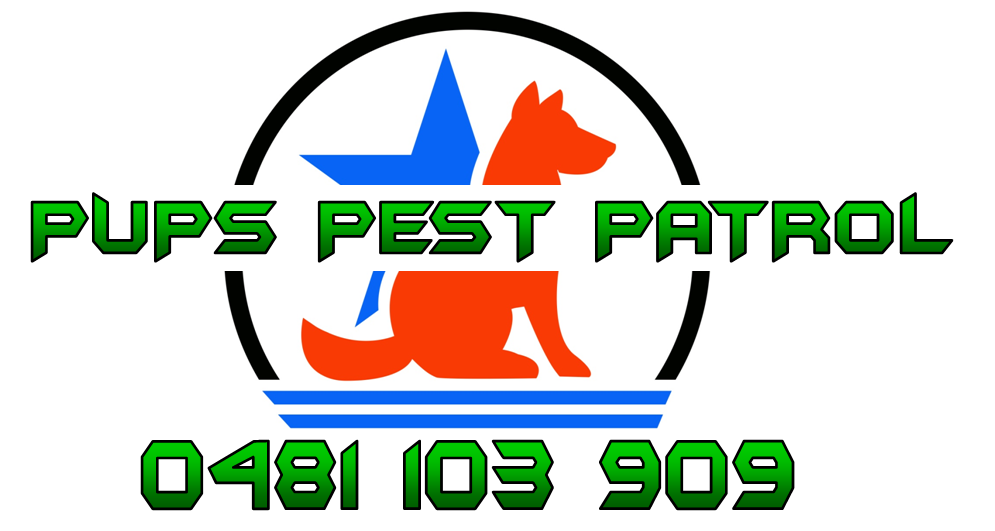 Pups Pest Patrol | home goods store | Nerang QLD 4211, Australia | 0481103909 OR +61 481 103 909