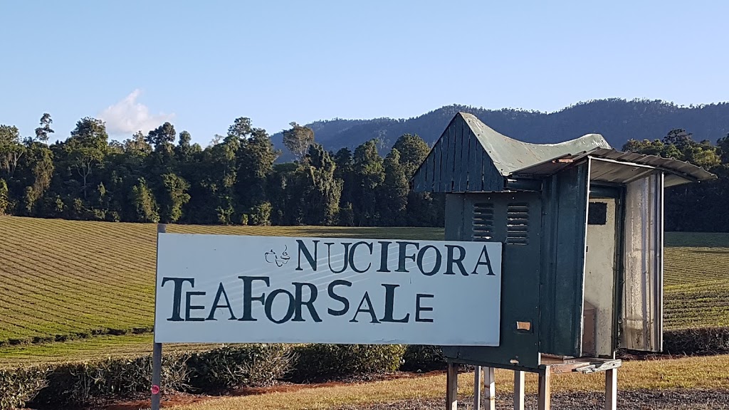 NUCIFORA Tea | 2535 Palmerston Hwy East Palmerston, North Queensland QLD 4860, Australia | Phone: 0413 586 127