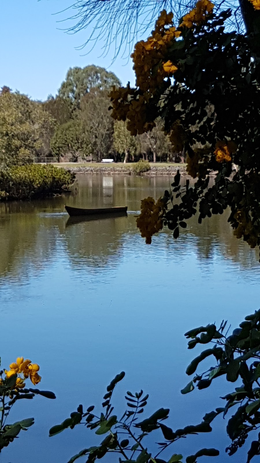 Schuster Park | park | Tallebudgera QLD 4228, Australia