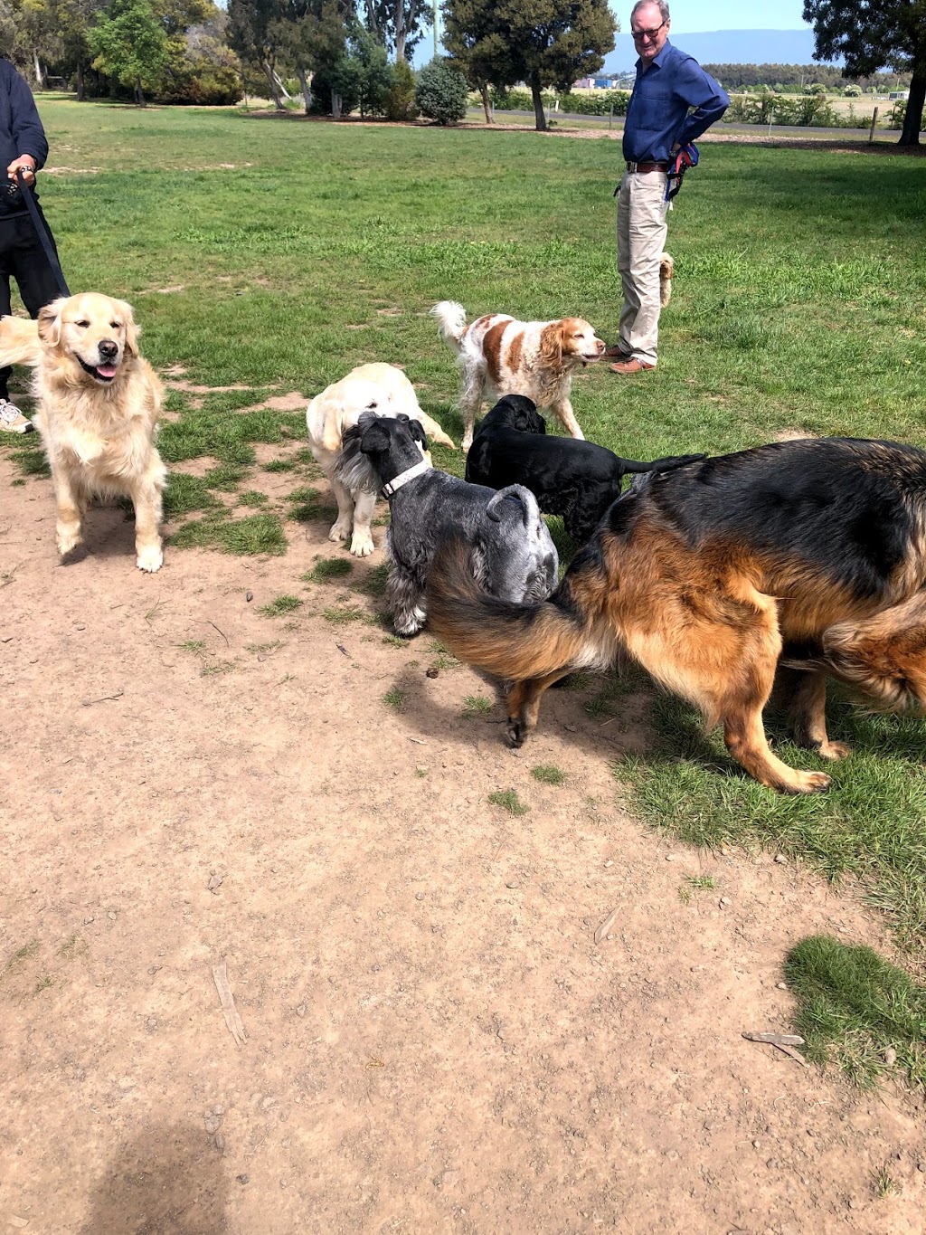 Longford Dog Park (Coronation Park) | Caskel, 358 Cressy Rd, Longford TAS 7301, Australia