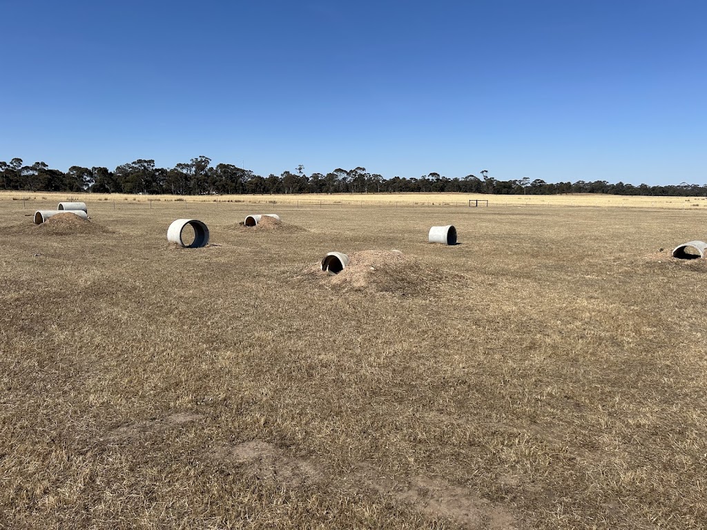 Provenance Dog Park (Private) | Huntly VIC 3551, Australia | Phone: 0418 584 107