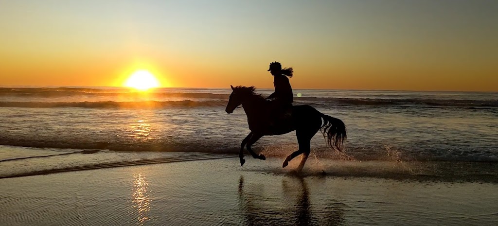 Cabarita Beach Pony Club | point of interest | 12-28 Round Mountain Rd, Bogangar NSW 2488, Australia | 0429000917 OR +61 429 000 917