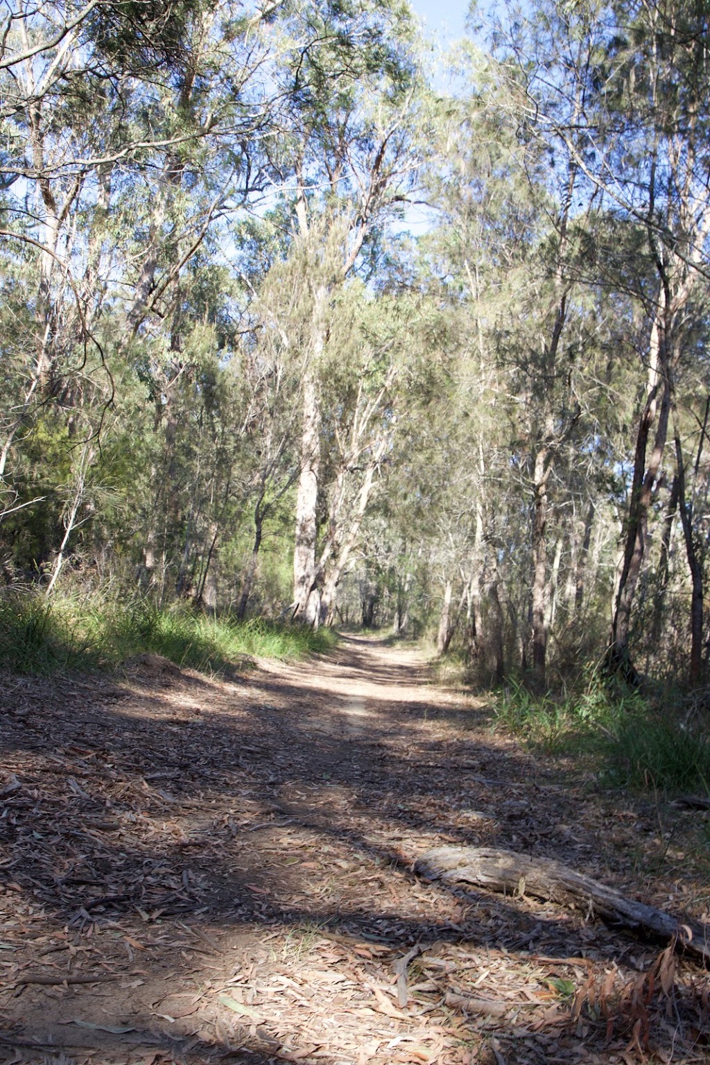 Lin Gordon Reserve | park | Oaks Rd, Thirlmere NSW 2572, Australia