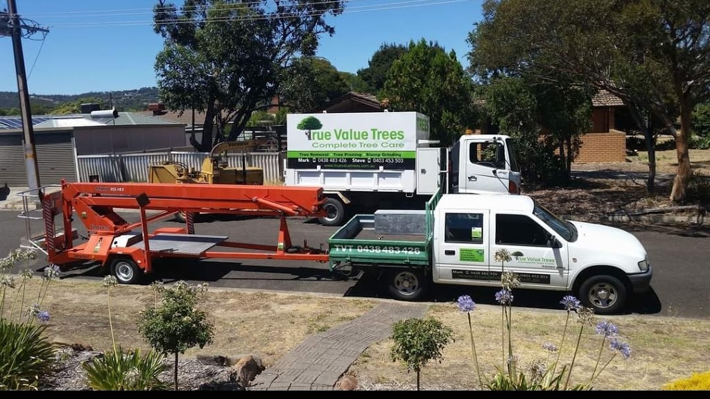 True value trees |  | Homestead Drv, Flagstaff Hill SA 5159, Australia | 0438483426 OR +61 438 483 426