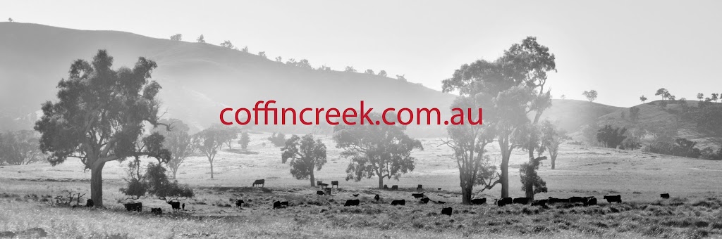 Coffin Creek Angus | Hayes Gap Road, Mudgee NSW 2850, Australia | Phone: (02) 6373 3838