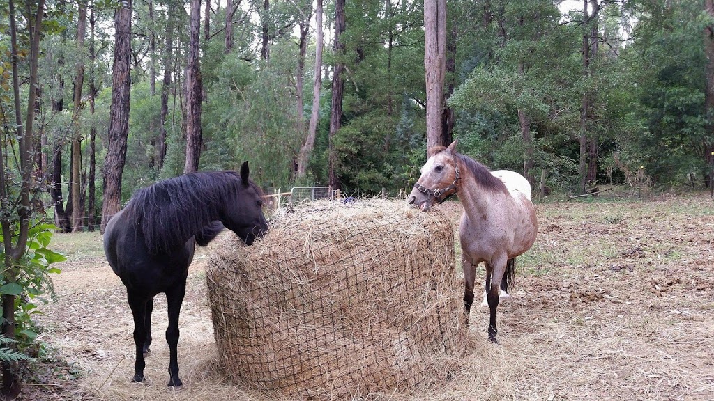 Just Grazin Custom Nets | 290 Marlborough Sarina Rd, Sarina QLD 4737, Australia | Phone: 0418 153 331