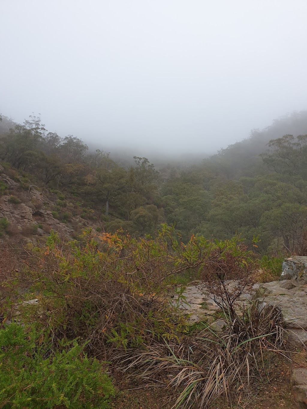 Spring Gully Conservation Park | park | Sawmill Rd, Sevenhill SA 5453, Australia